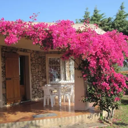 La Casa Di Teresa-villetta A 50 Mt Dal Mare * אולביה