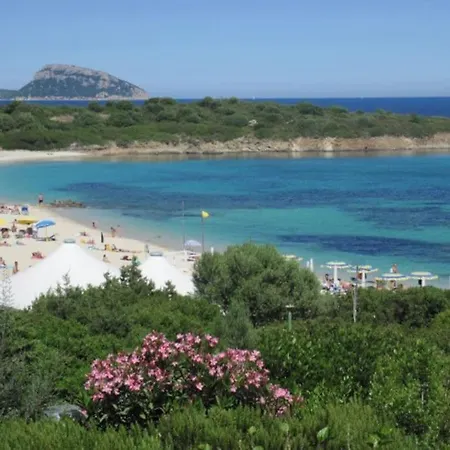 La Casa Di Teresa-villetta A 50 Mt Dal Mare Olbia