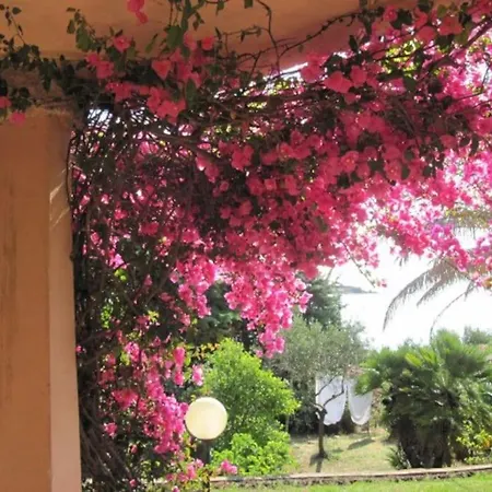 La Casa Di Teresa-villetta A 50 Mt Dal Mare Olbia